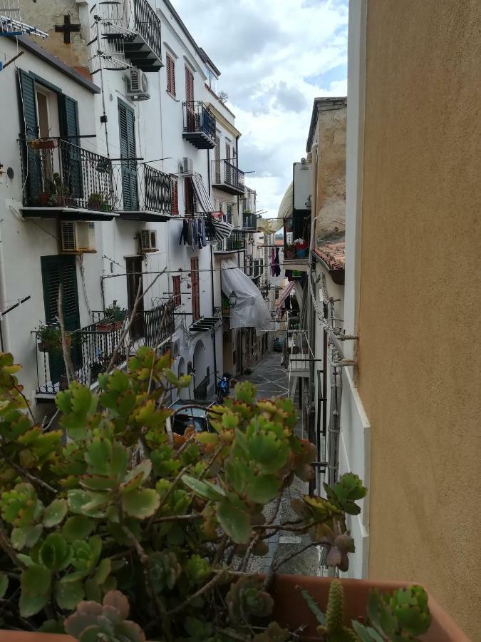 Apartment Amendola24